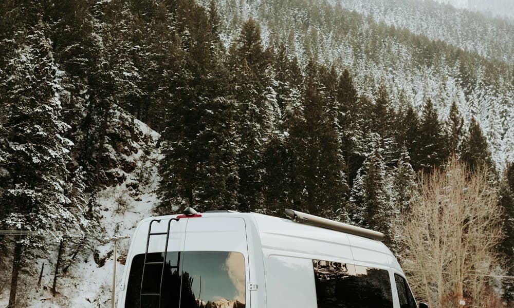 Passenger van parked by a snowy pine forest