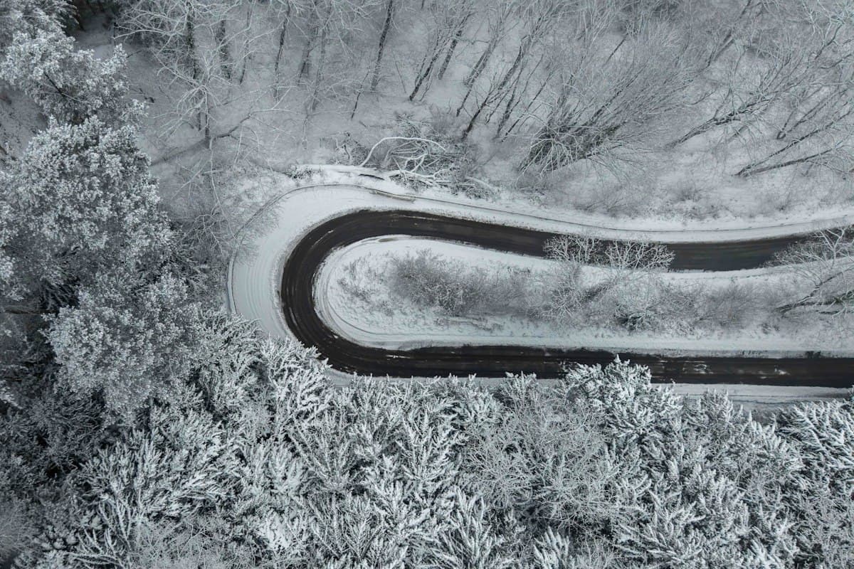 Snowy road winding through a winter forest